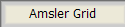 Amsler Grid